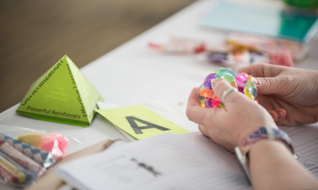 ピラミッドアプローチと行動