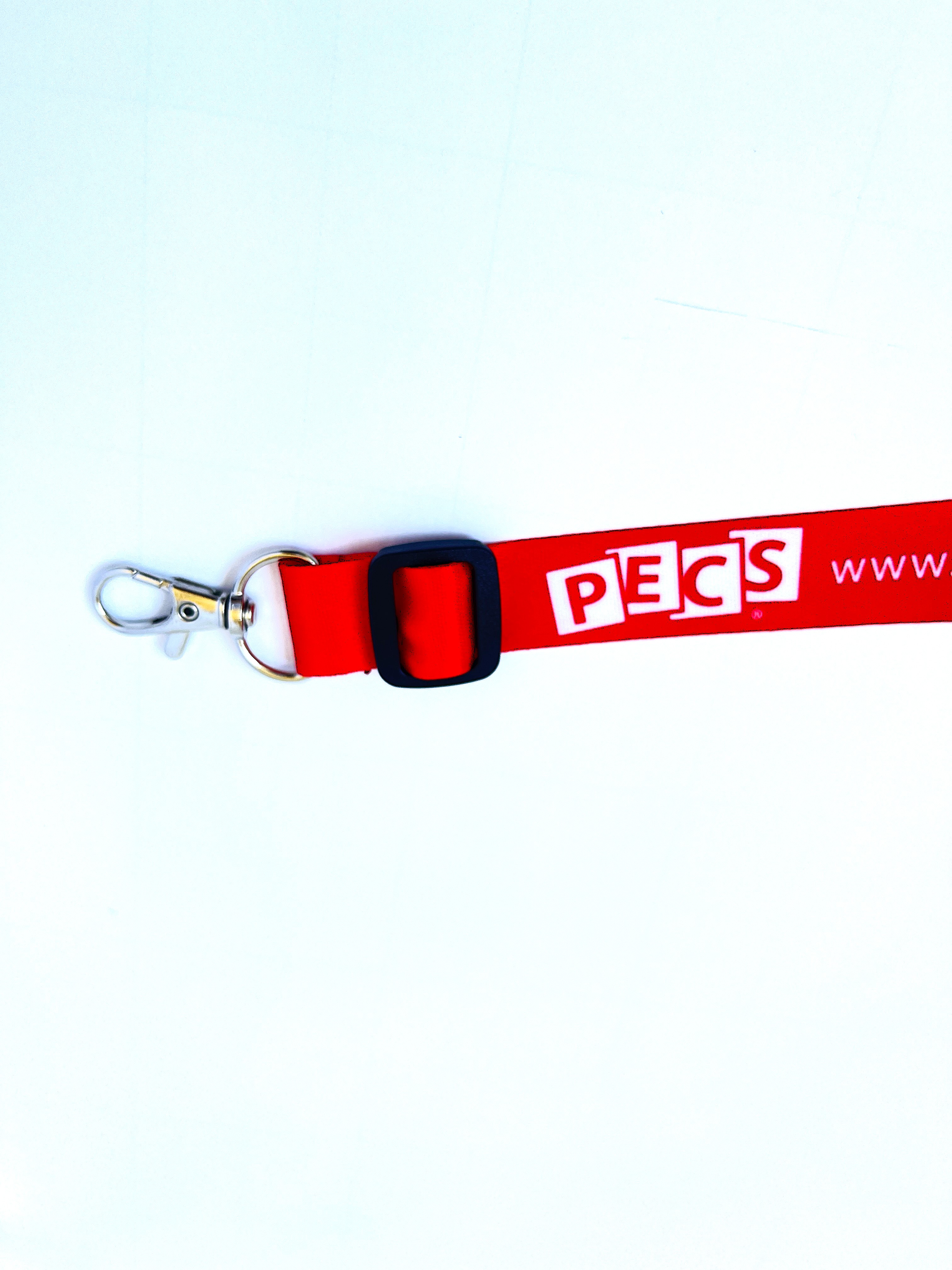 ブック用ストラップ - Pyramid Educational Consultants of Japan