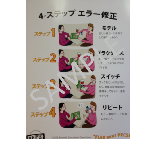 PECS視覚支援資料のポスター 4枚セット - Pyramid Educational