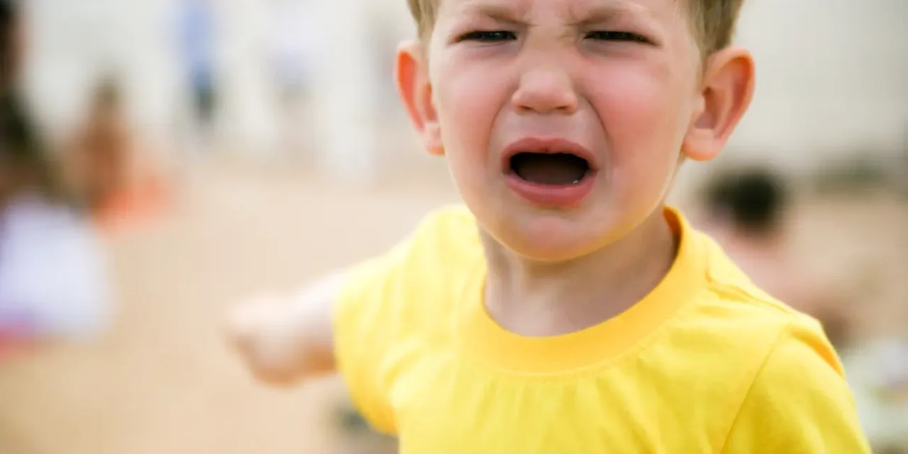 チャレンジング行動: どのように阻止し、減少させ、代替するか