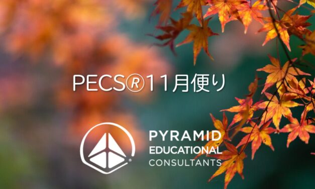 11月便り