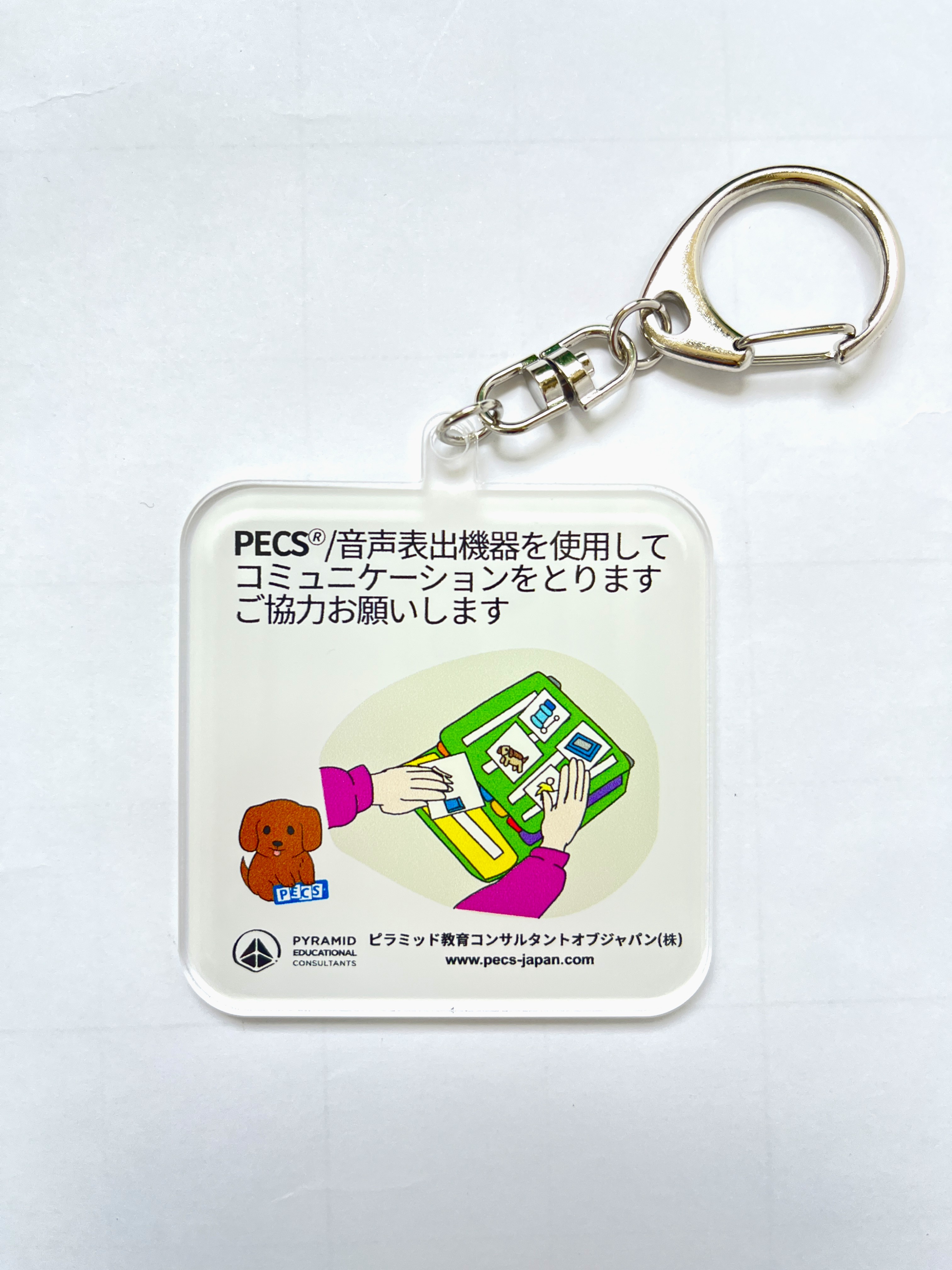 ストライク・ザ・ブラッド　ゴールデンタイムスターターブック　ポスター　4点セット ストライク・ザ・ブラッド ゴールデンタイムスターターブック ポスター